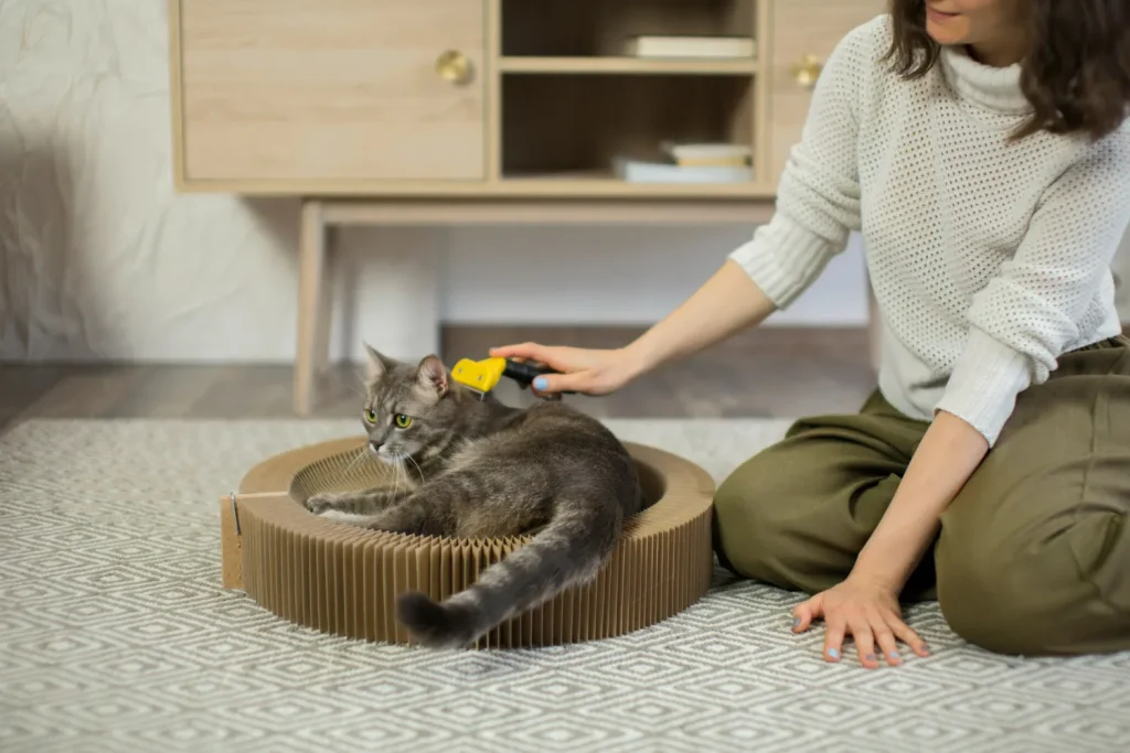 Accesorios para gatos: los 8 básicos que todo hogar debe tener 5 Accesorios Para Gatos Peines Para Gatos