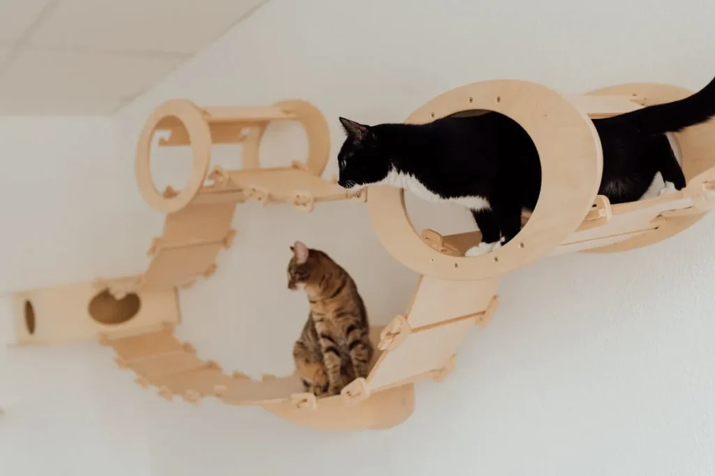 Accesorios para gatos: los 8 básicos que todo hogar debe tener 6 Accesorios Para Gatos 4 Rascadores Para Gatos
