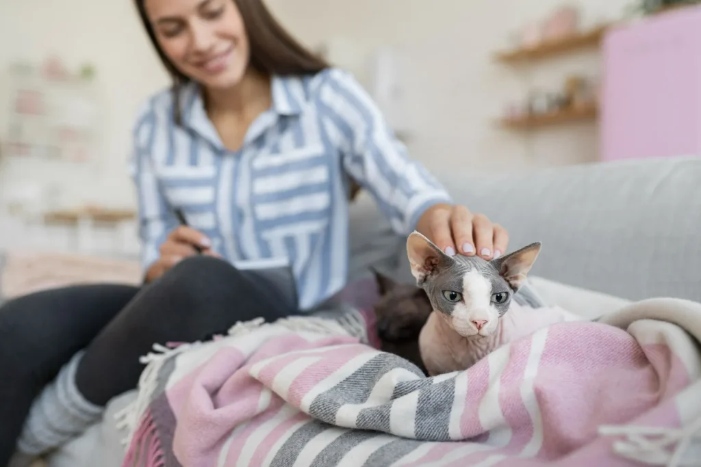 Todo lo que debes saber antes de adoptar un gato: guía completa para futuros dueños 4 Adopcion Gatos 6 Adaptar a un Gato al nuevo Hogar