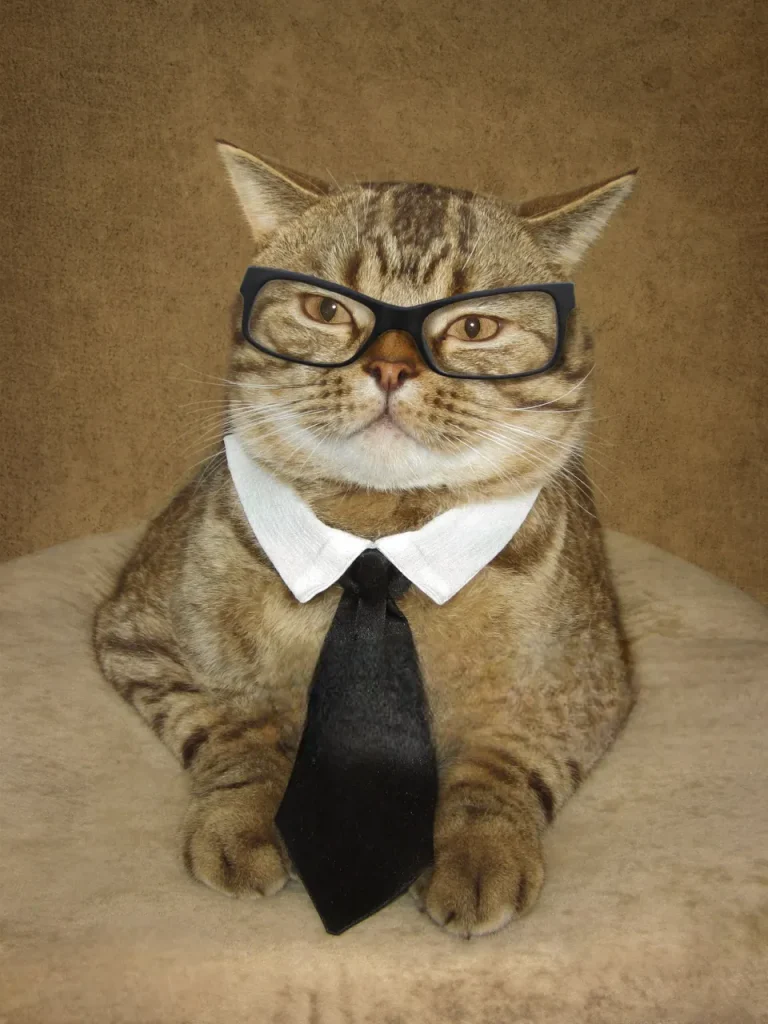 25 curiosidades más sobre los gatos - Parte 2 11 gato alcalde gato-alcalde