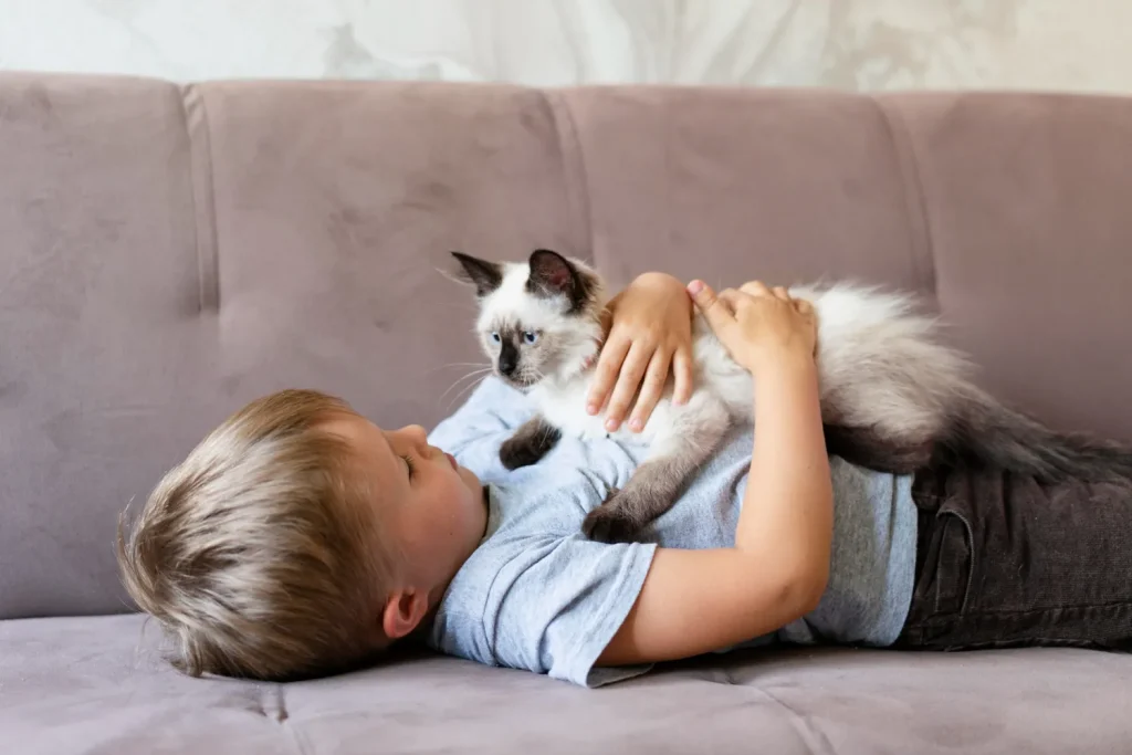 Porque mi gato me muerde cuando lo acaricio 4 gato bebe con nino 1 acariciando al gatito