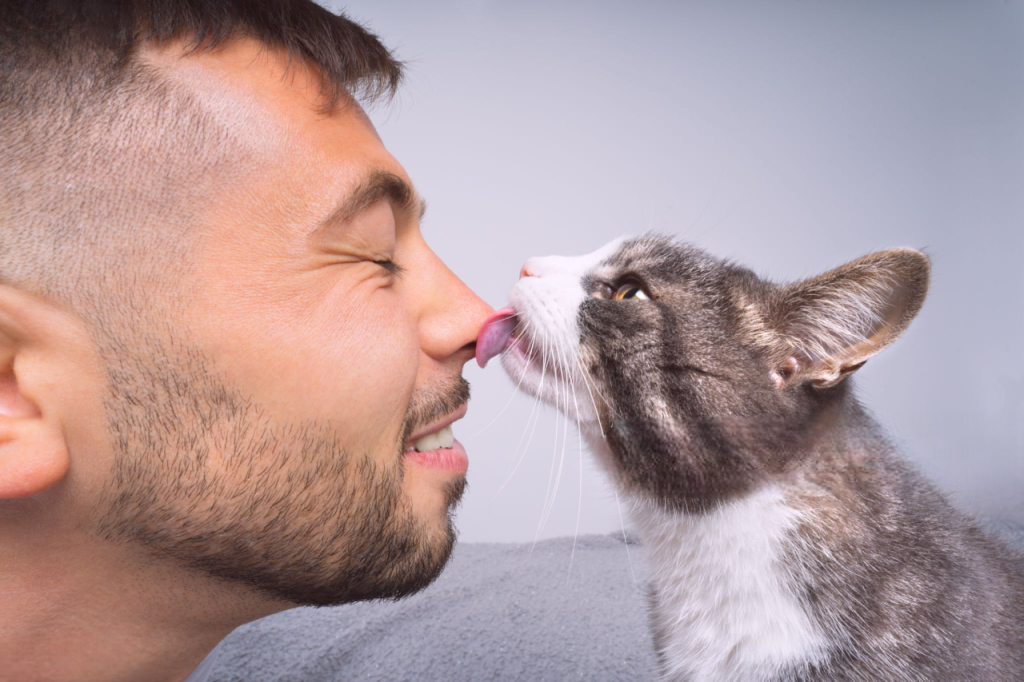25 curiosidades más sobre los gatos - Parte 2 6 gato lamiendo Photoroom gato-lamiendo