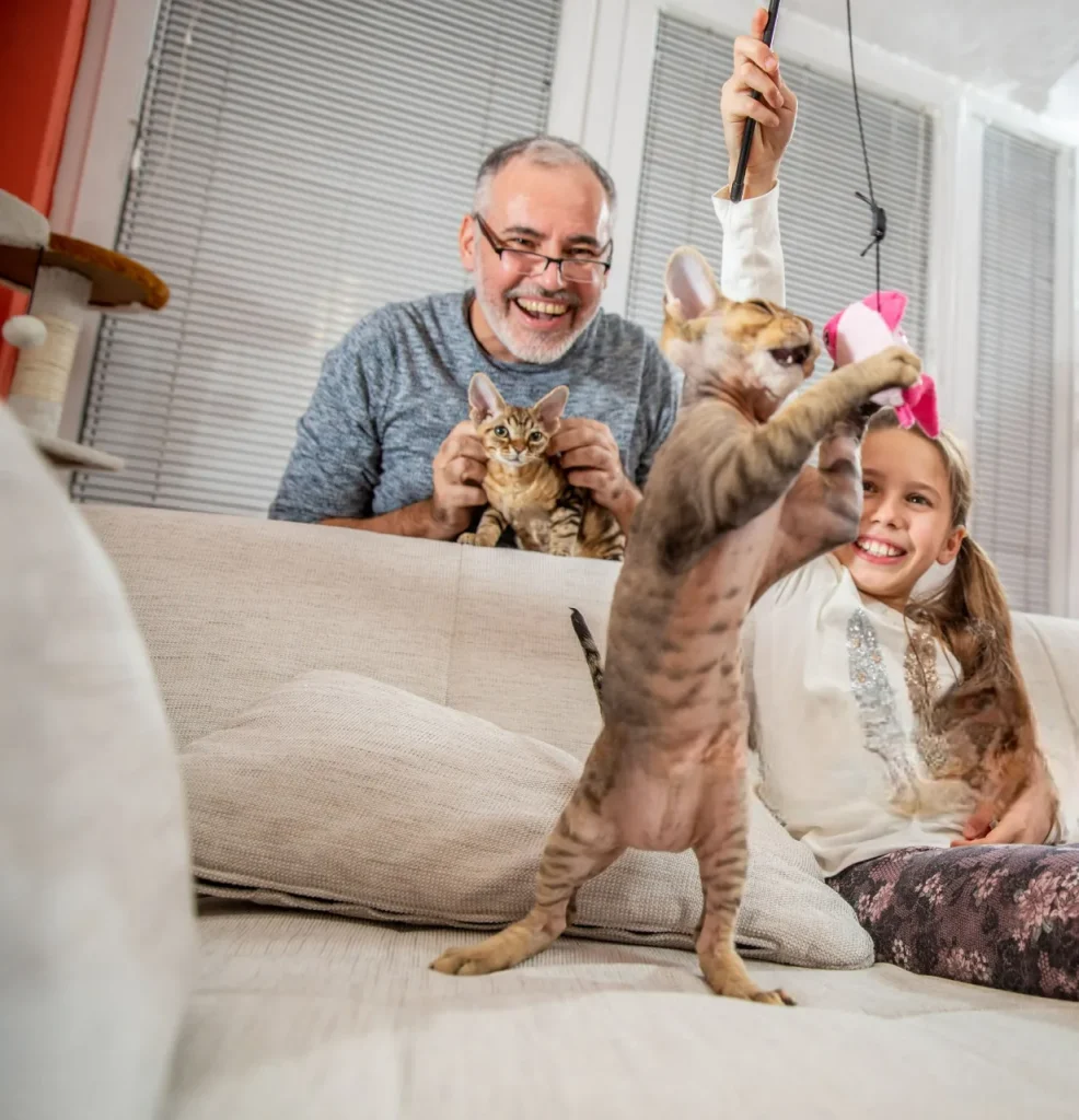 🐾 25 curiosidades más sobre los gatos – Parte 3 8 gatos jugando Photoroom 11zon gatitos-jugando