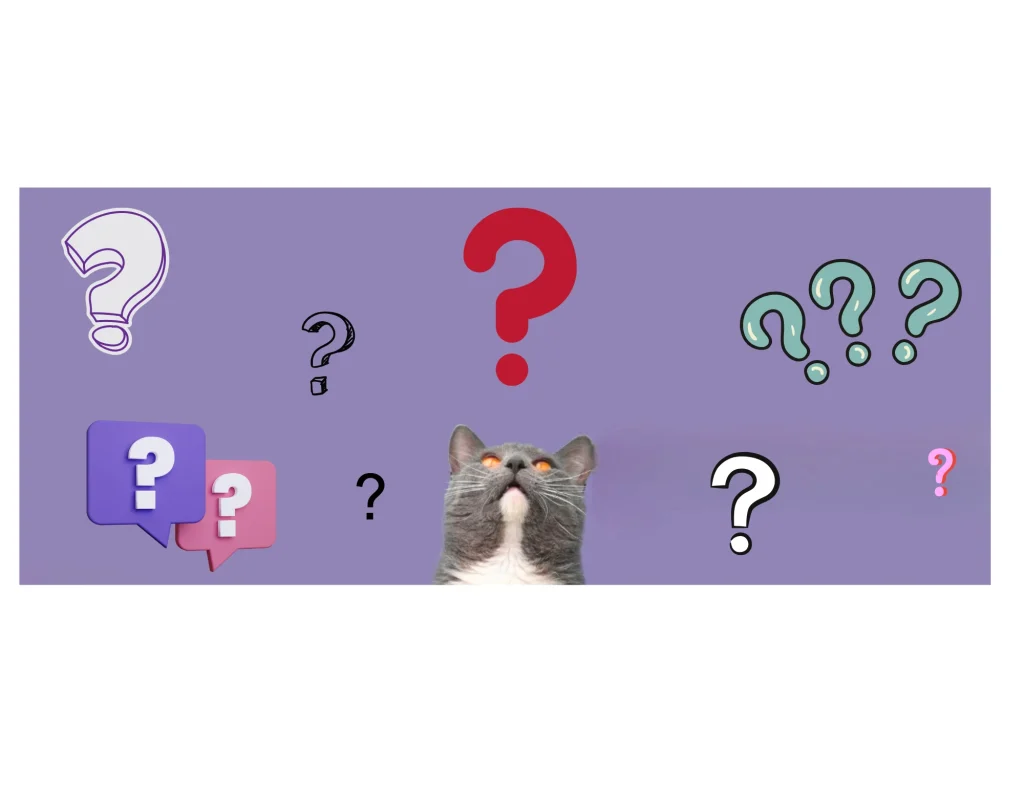 Todo sobre gatos: razas, cuidados, curiosidades y más. 10 ¿Garfield ¿Garfield ¿Garfield